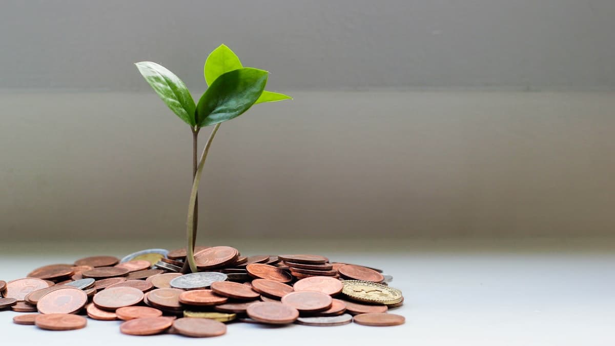 Como investir com pouco dinheiro: guia completo para iniciantes